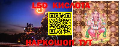 PSILOCYBIN Бугуруслан